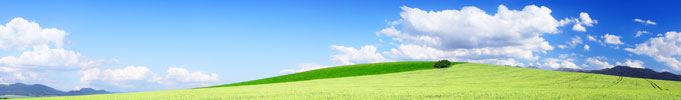 Image: Panoramic view of arable fields
